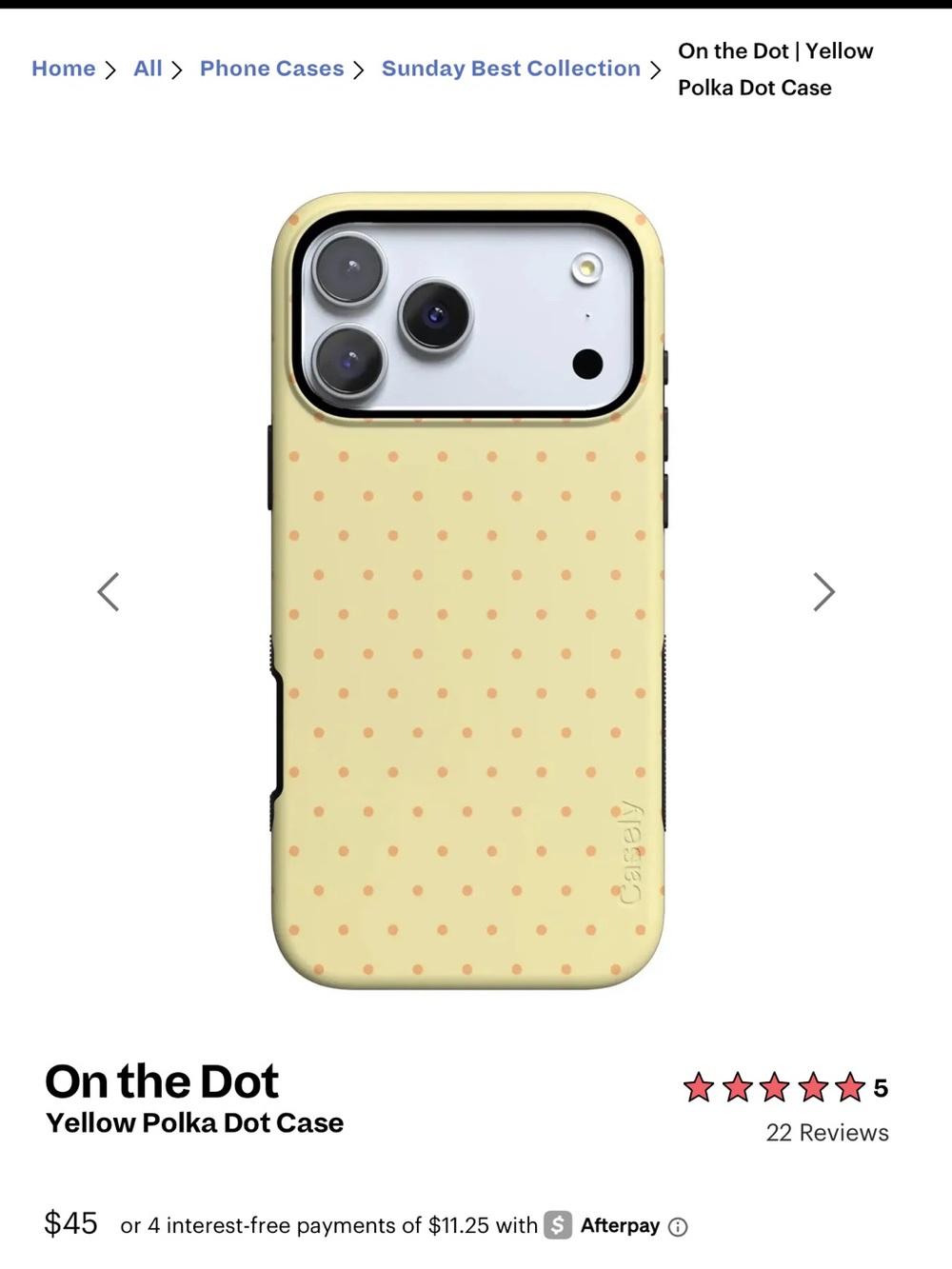 Casely - on the dot case